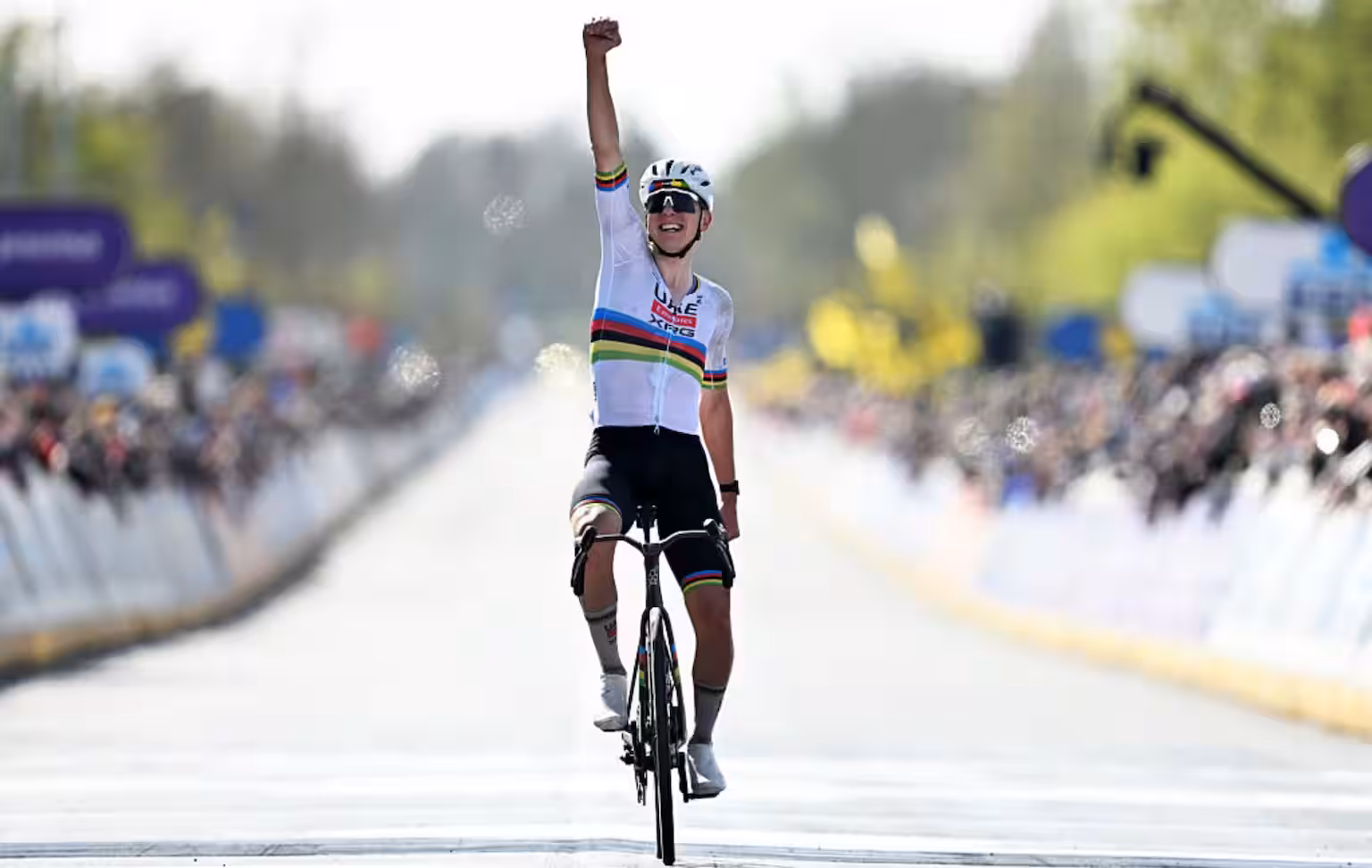 Tadej Pogacar al Fiandre 2026